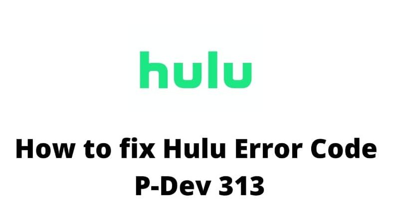 hulu error code p-dev313